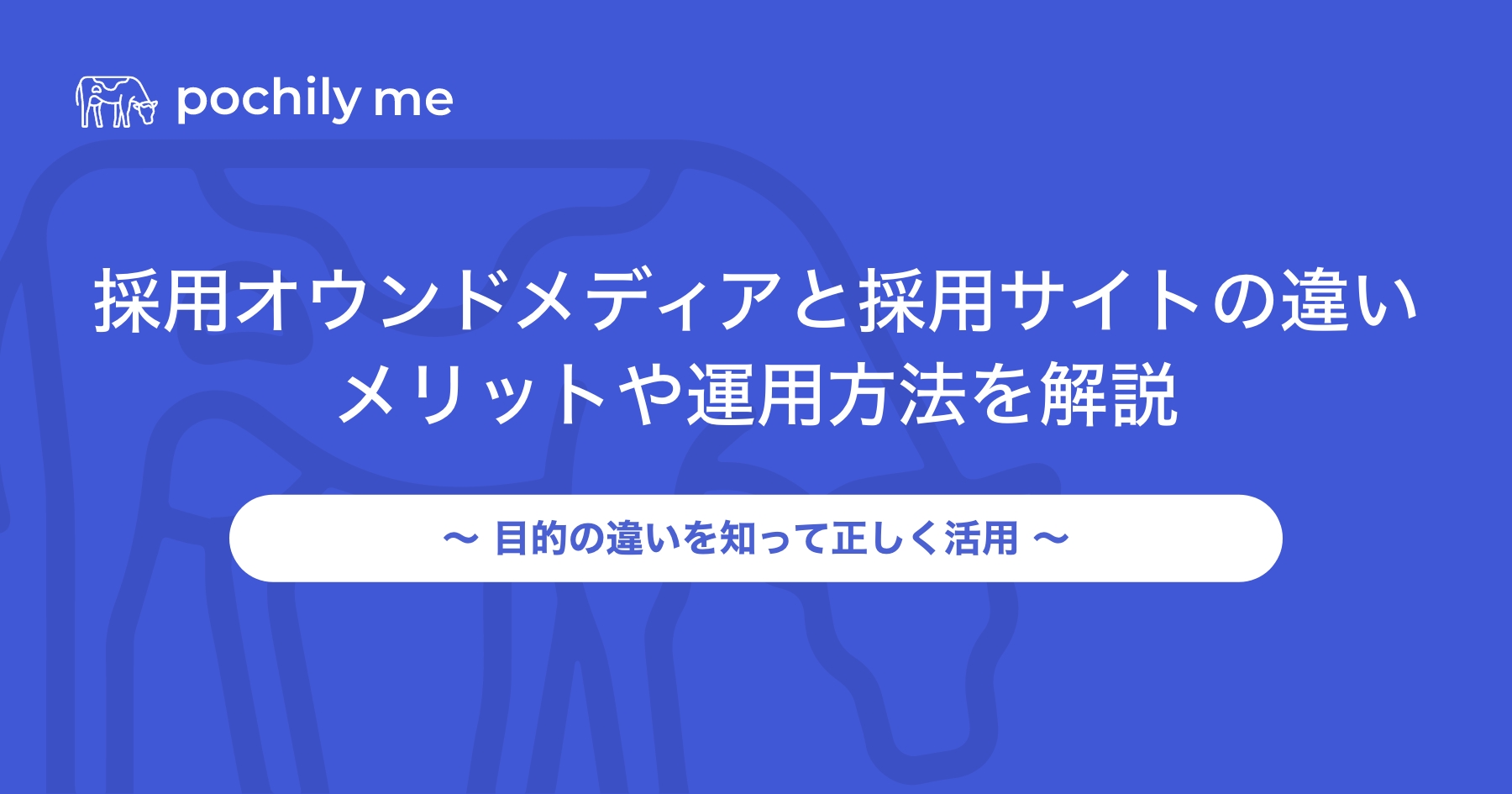 採用オウンドメディアと採用サイトの違いは？メリットや運用方法を紹介 | pochily me（ポチリーミー）