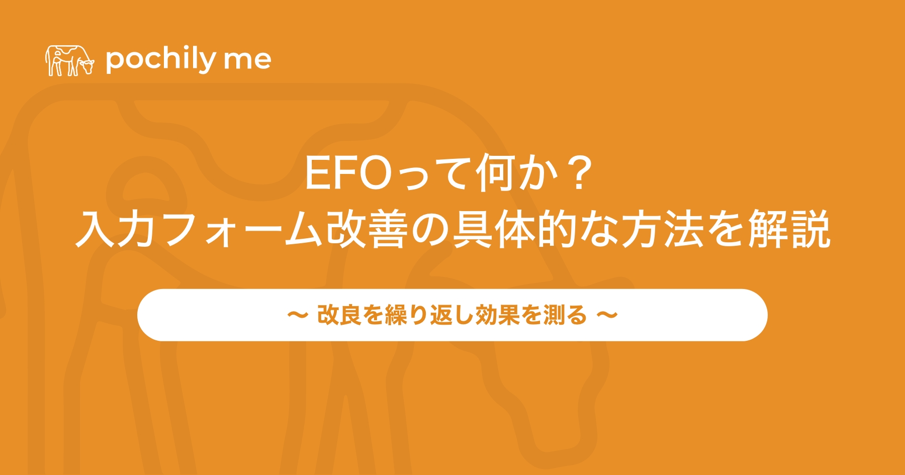 EFOとは何か？入力フォームを改善するための具体的な方法を解説 | pochily me（ポチリーミー）