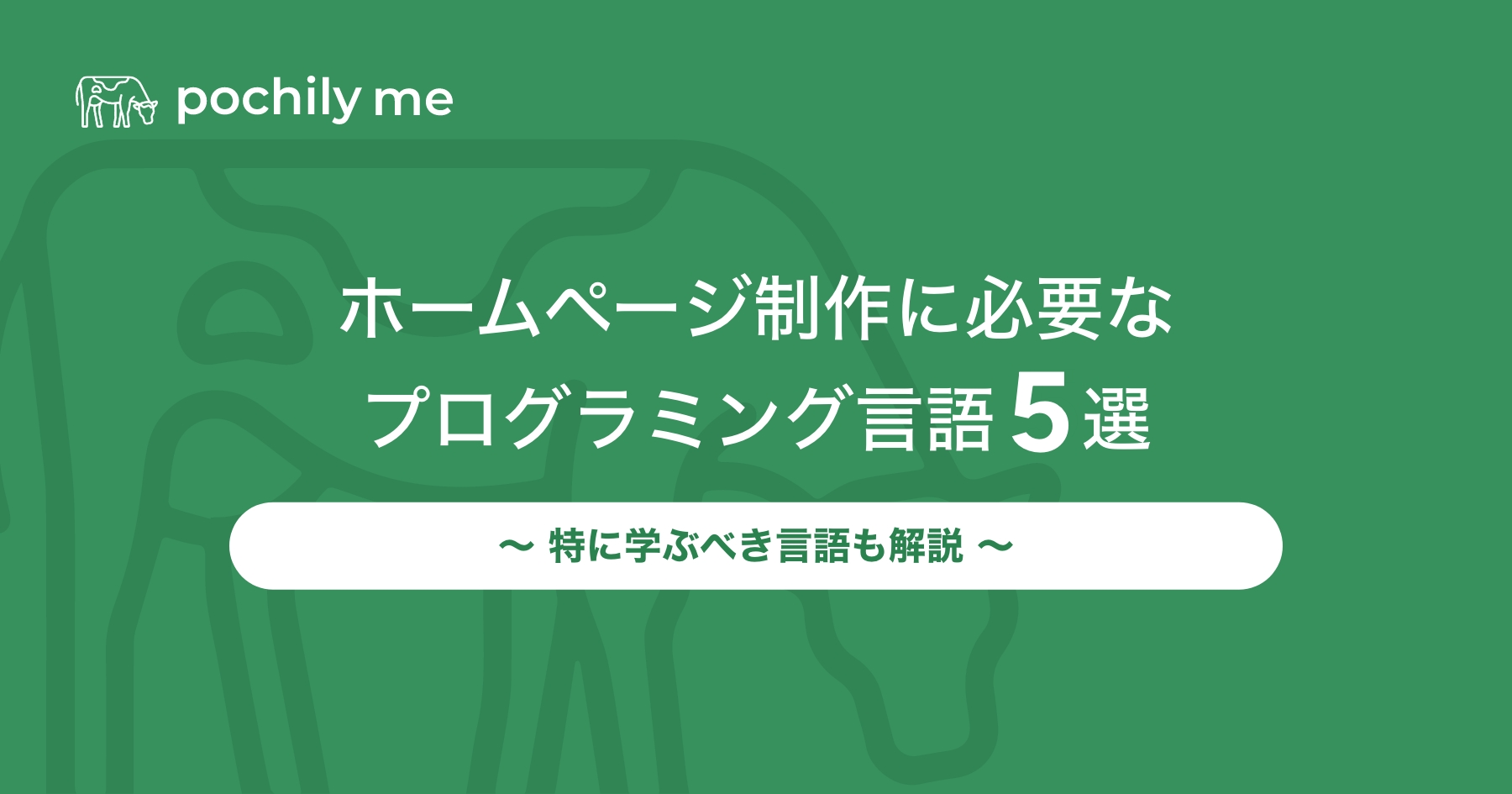 ホームページ制作に必要なプログラミング言語5選！特に学ぶべき言語も解説 | pochily me（ポチリーミー）